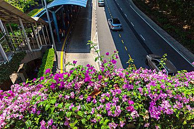 展馆广告透露《罪恶装备：Strive》或将登陆Switch